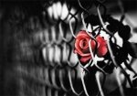 Иллюзия правосудия