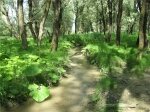 Ставропольский суд проверит законность строительства перинатального центра