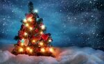 С наступающим Новым годом и Рождеством!